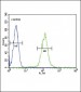 PLA2G2D Antibody (C-term)